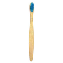 GeekerChip toothbrush