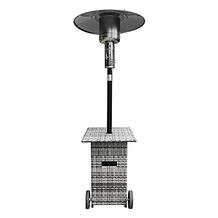Electriq mushroom heater