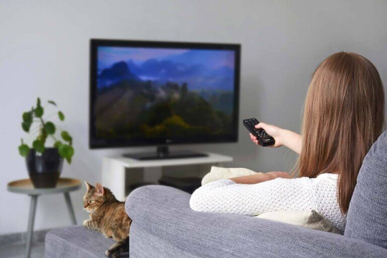 22-inch TV