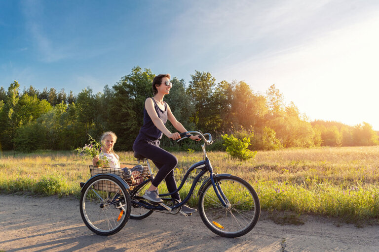 adult tricycle