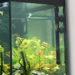 aquarium heater