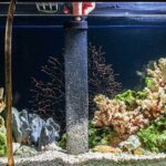 aquarium vacuum cleaner