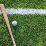baseball bat