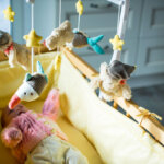 bassinet on wheels