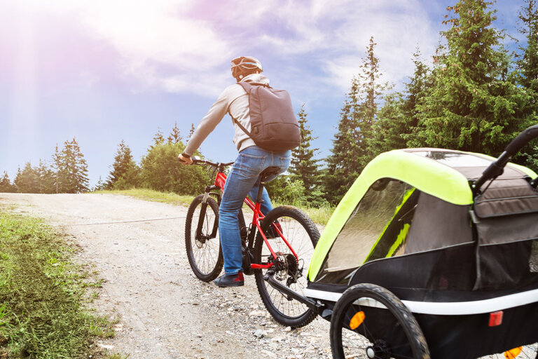 bike trailer for kids