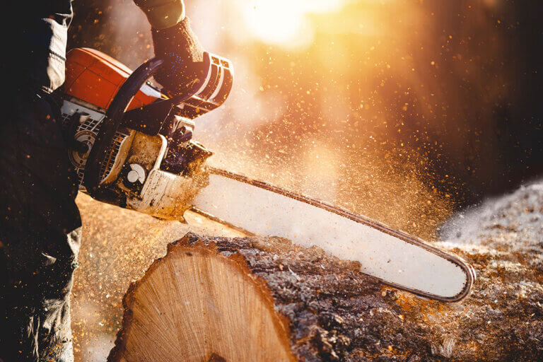 cordless chainsaw