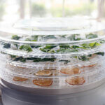 dehydrator