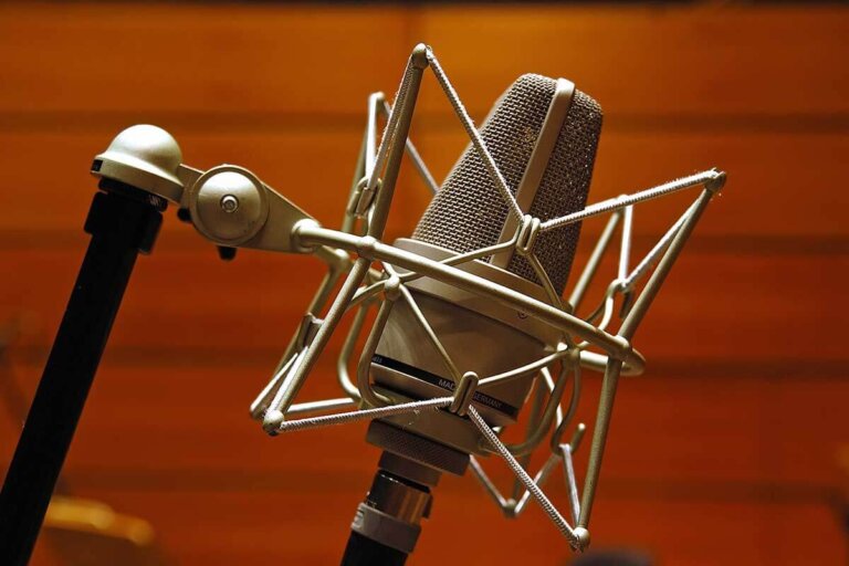 directional microphone