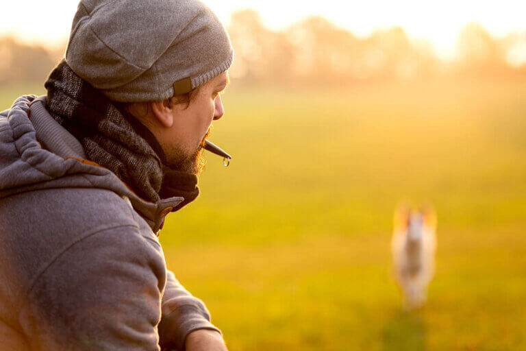 dog whistle