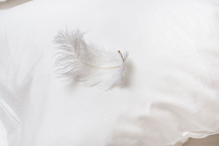 down pillow