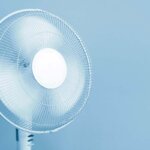 fan