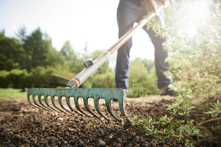 garden rake