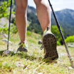 hiking pole