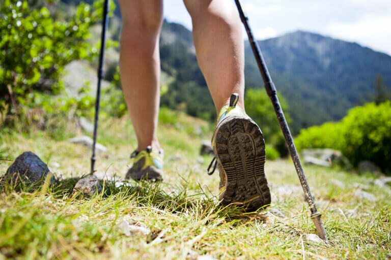 hiking pole