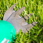 lawn edger