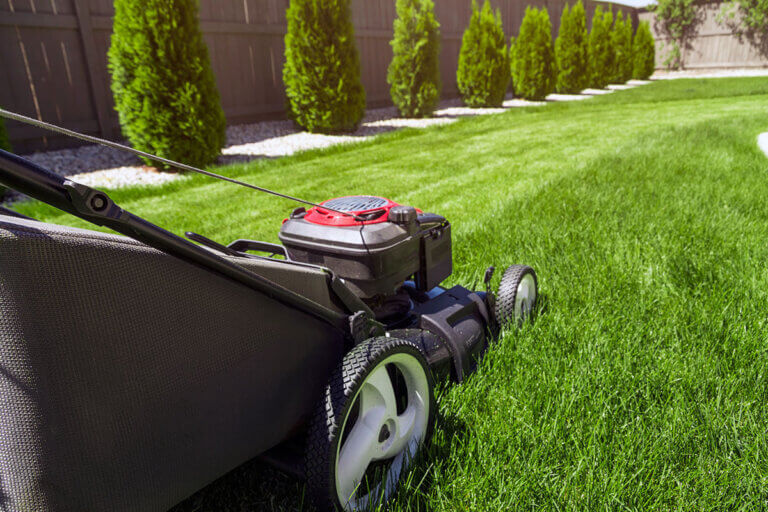 long grass mower