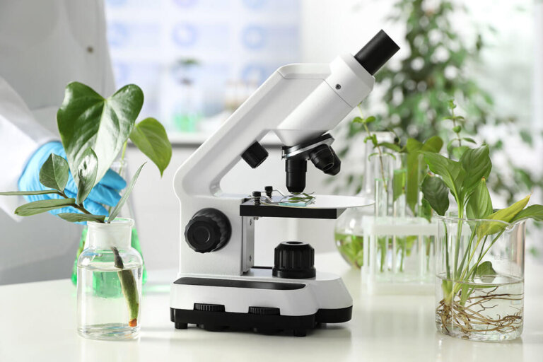 microscope