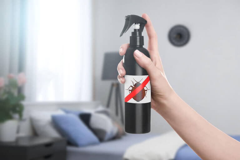mite spray