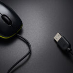 mouse