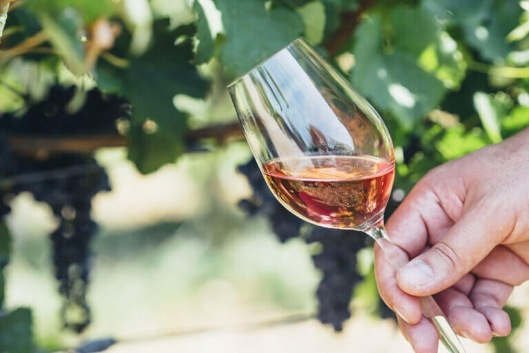 non-alcoholic wine