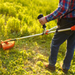 petrol lawn trimmer