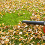 petrol leaf vacuum