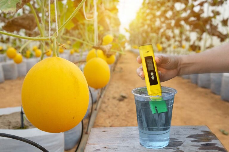 pH meter