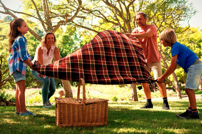 picnic blanket