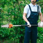 pole pruner