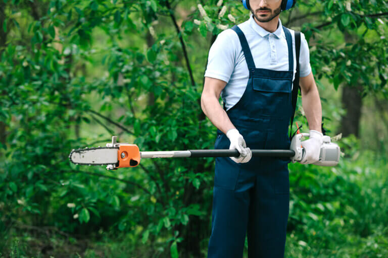 pole pruner