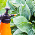 pressure sprayer