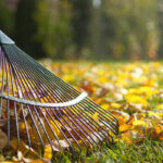 rake
