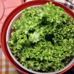 salad spinner