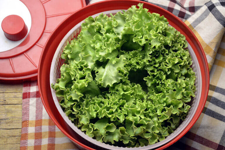 salad spinner