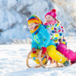 sled