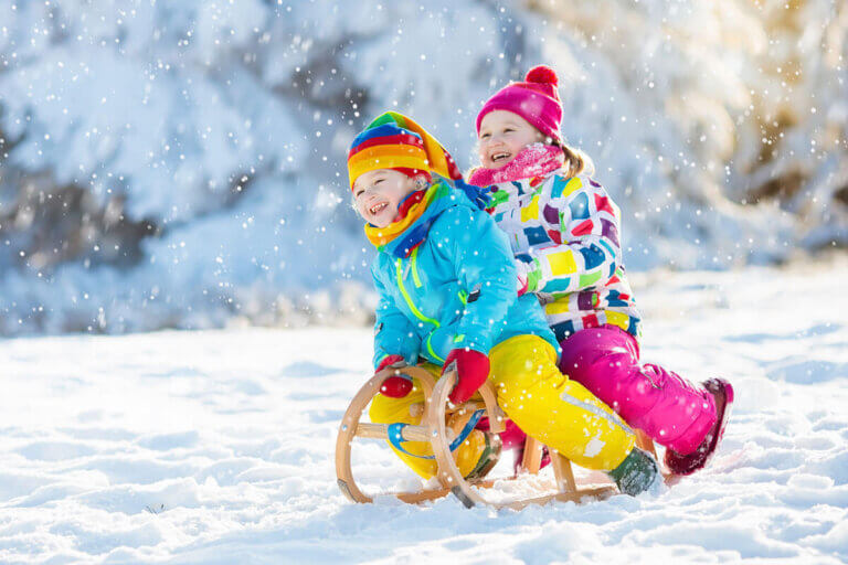 sled