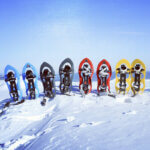 snowshoe