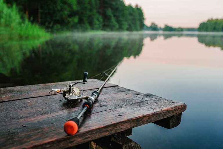 spinning rod
