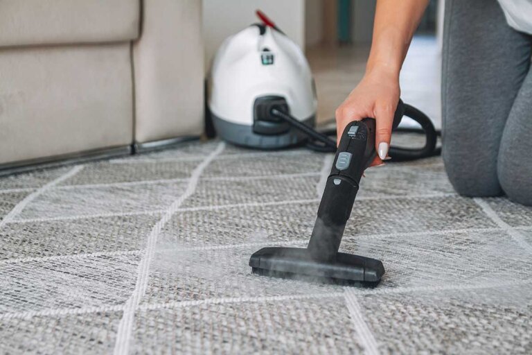 steam cleaner