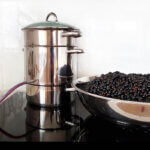 steam juicer