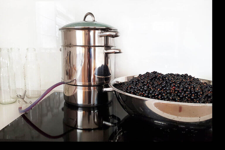 steam juicer