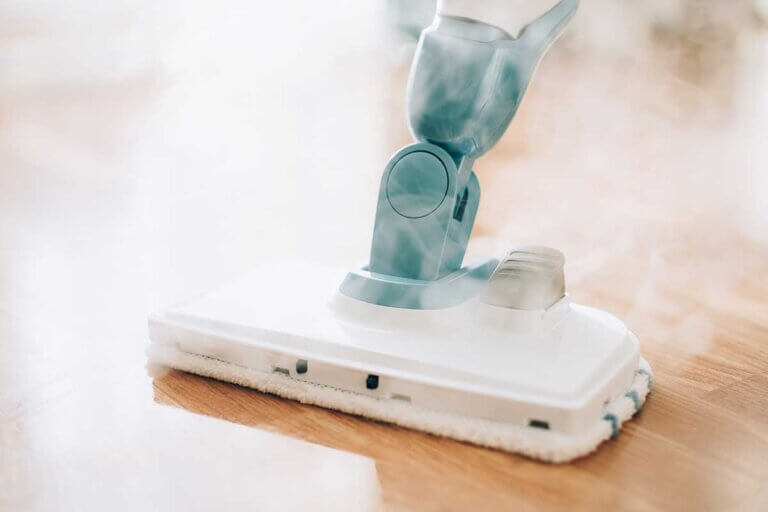 steam mop