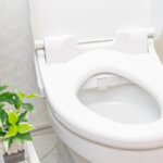 toilet seat