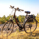 trekking bicycle