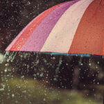 umbrella