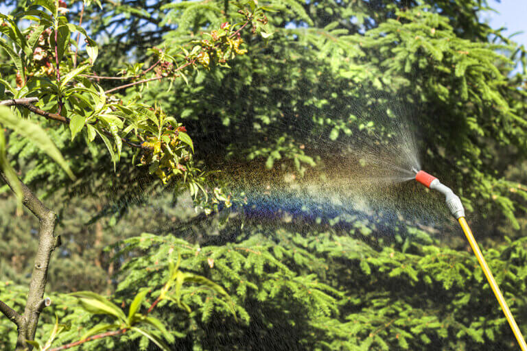 watering lance