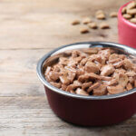 wet dog food