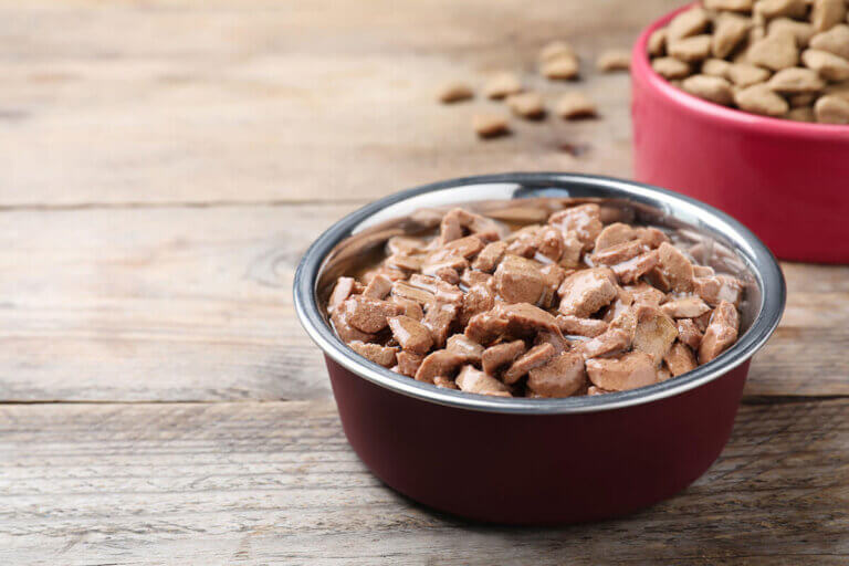 wet dog food