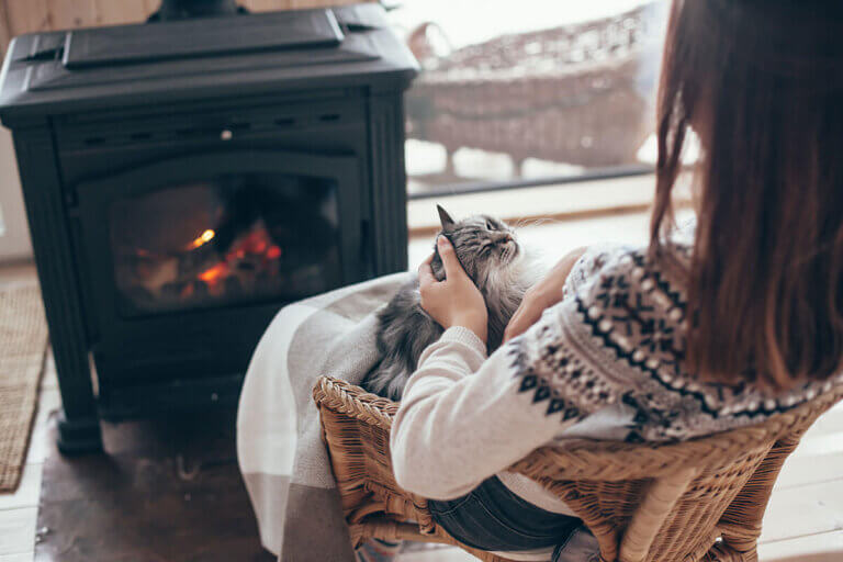 wood burning stove